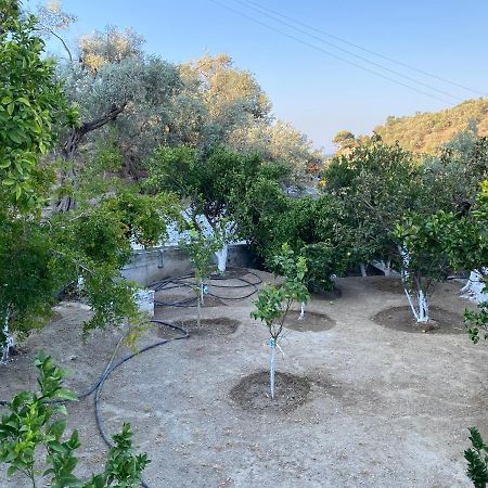 House With Beautiful Garden In Plomari Daire Dış mekan fotoğraf
