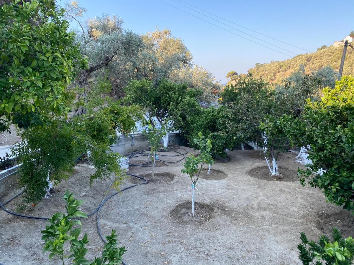 House With Beautiful Garden In Plomari Daire Dış mekan fotoğraf