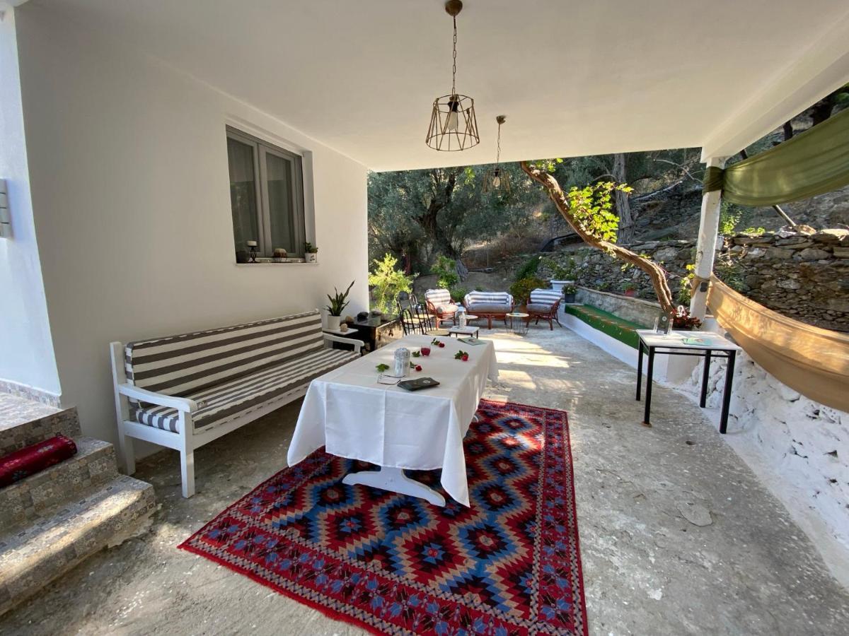 House With Beautiful Garden In Plomari Daire Dış mekan fotoğraf