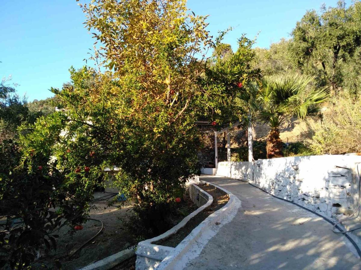 House With Beautiful Garden In Plomari Daire Dış mekan fotoğraf